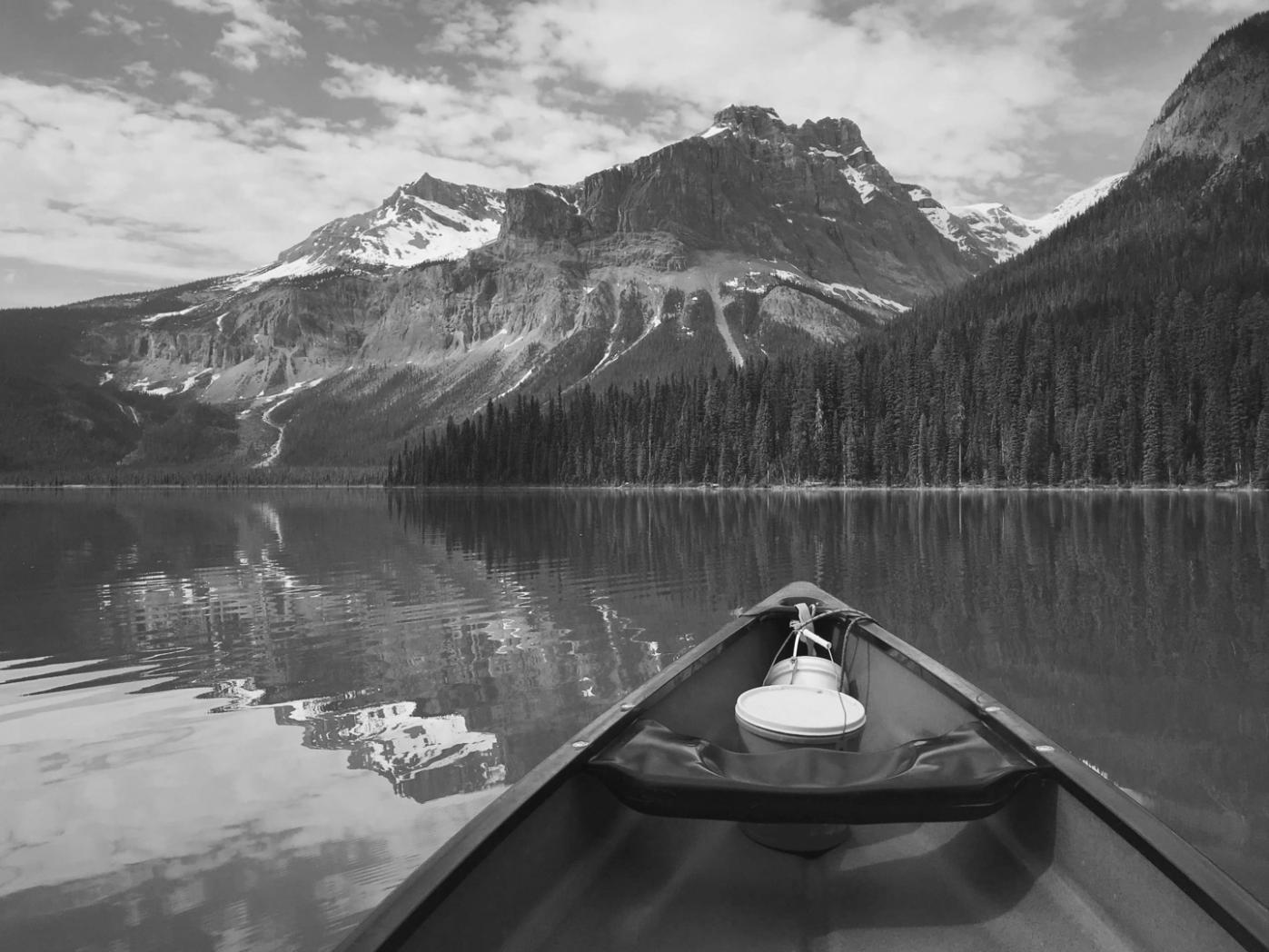Зустріч випускників програми підготовки координаторів